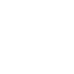 advertiser