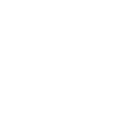 CTV Ads