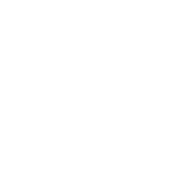 publisher